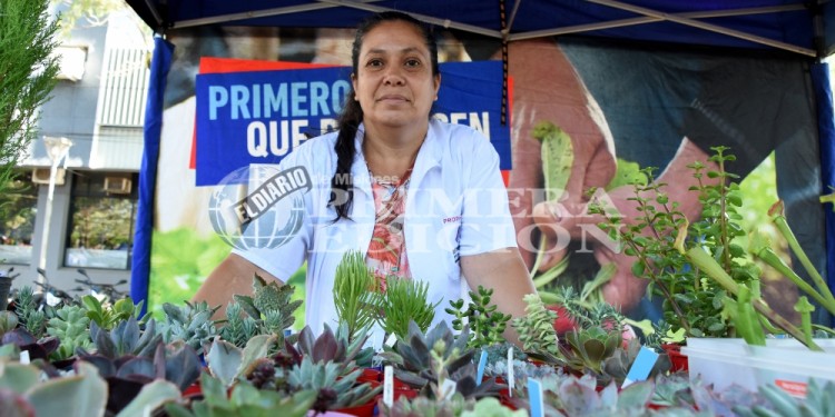 MÁS OPCIONES. La emprendedora Carina Gómez tiene puestos de ventas en la sede de la feria franca de Villa Cabello, donde se la encuentra los sábados por la mañana, y los sábados, domingos y feriados por la tarde está presente en la feria del cuarto tramo de la costanera de Posadas.