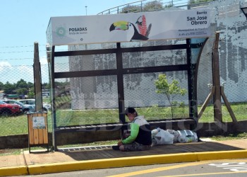 Reclaman asistencia para un joven con discapacidad que deambula en Posadas