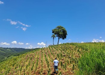 Comenzó el relevamiento de los productores afectados por el granizo para pagar el seguro