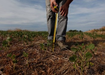 La sequía se profundiza y crece la incertidumbre