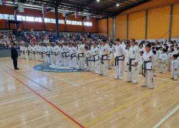 Taekwon-do: el año se cerró a pura fiesta para el Instituto Cerdán