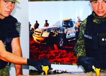 Resguardaron a dos pichones de Tucán Toco