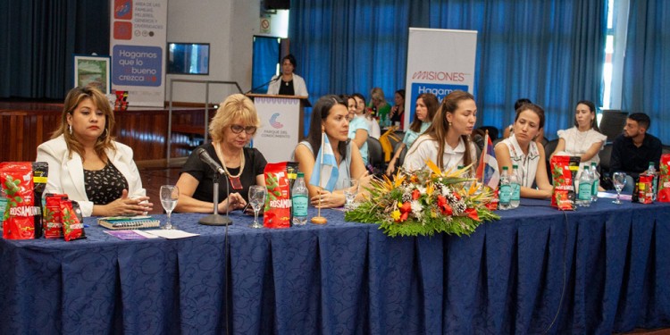 Posadas recibió la última jornada del Consejo Provincial de Áreas de Género y Disidencias