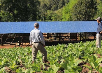 Productores destacaron las medidas aplicadas por la AFIP