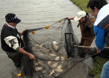 Formarán nuevos técnicos en producción acuícola y piscícola