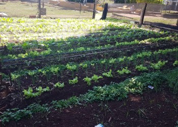“La Provincia tiene un compromiso fuerte en caminar hacia la agroecología”