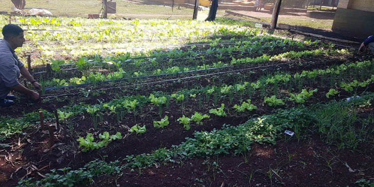 OBJETIVO. “Creo que Misiones tiene claro que cuidar la biodiversidad es cuidar la salud y es cuidarnos. Hay una serie de acciones que tenemos que llevar adelante para ser coherentes”, dijo la titular de Agricultura Familiar, Marta Ferreira.