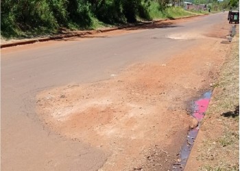 Vecinos del barrio Misionerita piden el arreglo de la avenida 117