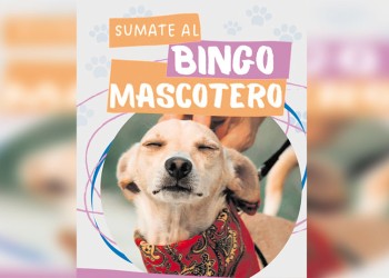 Este domingo se realizará un Bingo Mascotero
