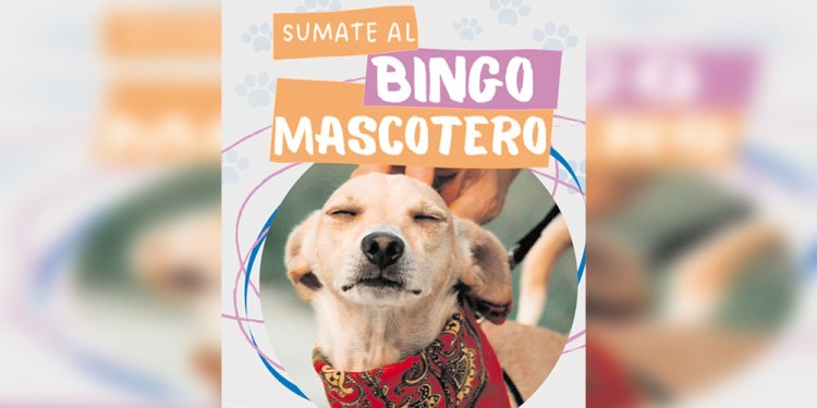 MASCOTAS. Más de 50 premios que fueron donados por distintos comercios.