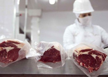 Brasil lidera ranking exportador de carnes vacunas en el MERCOSUR