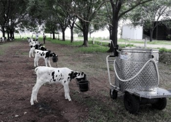 La cadena láctea perdió $5.000 millones en octubre