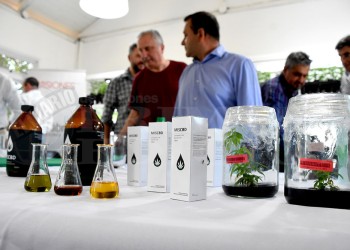 MisioPharma entregó primera producción de frascos de aceite de cannabis MisCBD