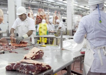 Misiones importa ganado y lideró la caída de faena bovina en 2022