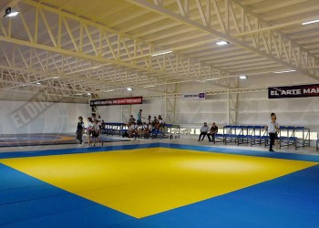 Las artes marciales ya tienen su lugar