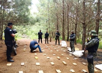 En pleno monte de San Pedro incautaron varias bolsas de marihuana
