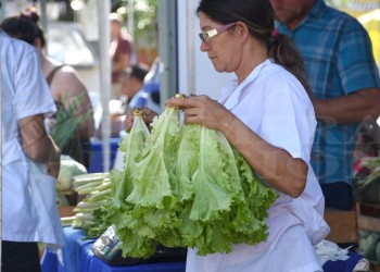 Hoy Feria Navideña  en la plaza San Martín