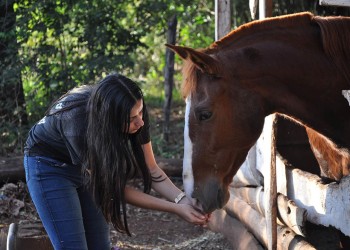 Libre Relincho vende una rifa para costear vacunas anuales e insumos veterinarios