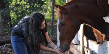 SUJETOS DE DERECHO. Libre Relincho se dedica al rescate y cuidado de caballos en la ciudad capital. (Fundación Libre Relincho)