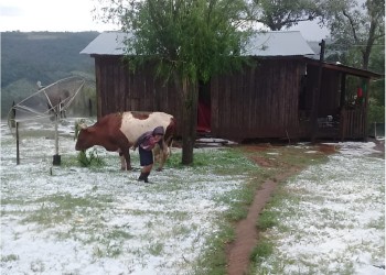 A dos días de la llegada del verano, tormenta de granizo afectó a El Soberbio