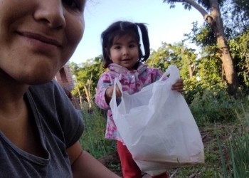 Hacia una agricultura urbana sostenible