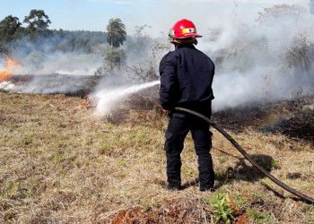 El índice de peligrosidad de incendios en Misiones es extremo