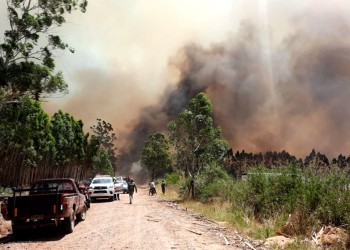 Corrientes: nuevos focos de incendios y un panorama desalentador