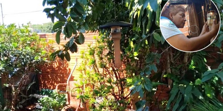 LAS TRAMPAS. Las trampas de luz domiciliarias capturan flebótonos para medir los barrios con mayor presencia.