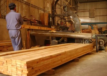 Sector maderero: “hubo 60 despidos sobre 8.000 puestos de trabajos formales”