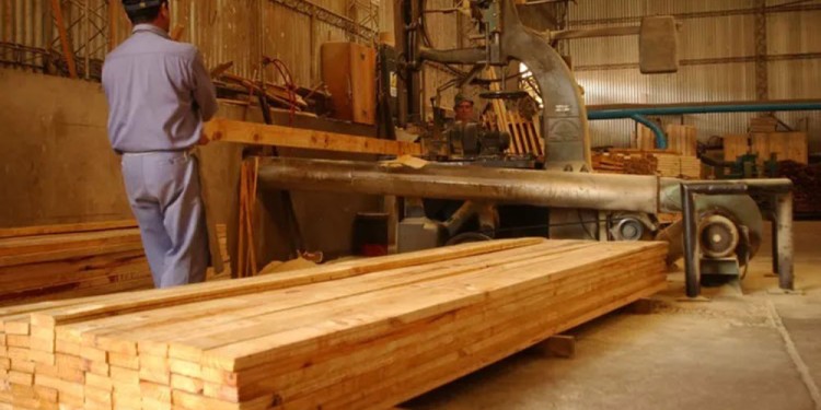 (Imagen ilustrativa: Argentina Forestal)