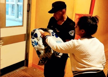 Rescataron a una recién nacida que había sido abandonada en la calle