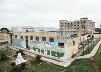 Cerraron una cárcel y hay preocupación por los más de 80 gatos que vivían allí