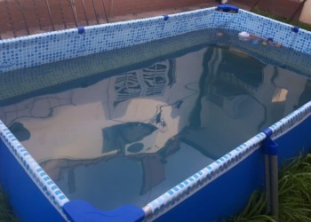 Recomiendan limpiar las piletas para evitar criaderos de Aedes