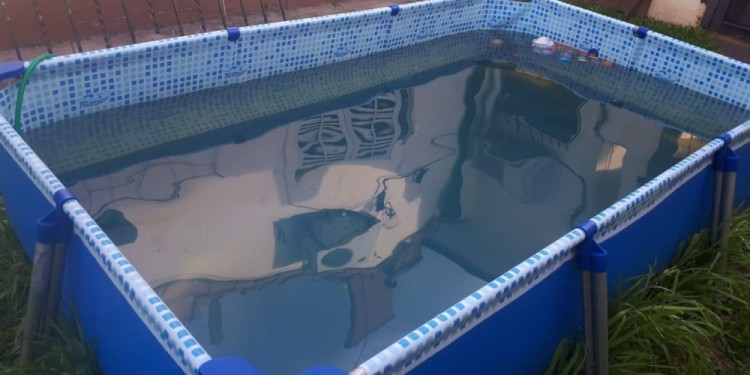 UN PROBLEMA. Muchas piletas quedan armadas durante todo el año y se limpian al llegar el calor.