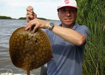 “Las palometas atacan porque defienden su área de desove, que va de julio a enero”