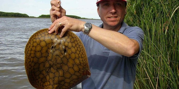 (imagen ilustrativa)