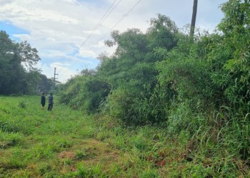 Hallaron a una mujer muerta y desnuda en un baldío de Oberá