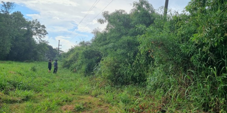 PERICIAS. El juez aguarda resultados forenses complementarios, ya que la autopsia no develó la causa de muerte.