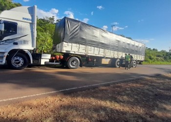 Secuestran más de 100 toneladas de soja de contrabando en El Soberbio