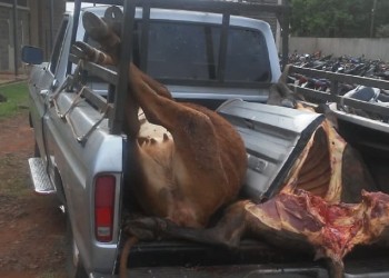 Inseguridad rural: productores organizan movida para los primeros días de febrero