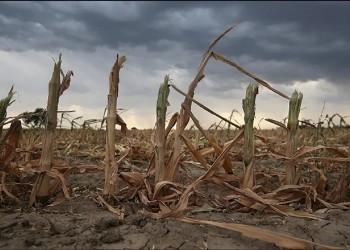Crisis hídrica: más del 50% del país está afectado por la sequía