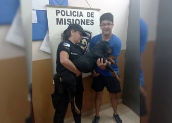 Recuperan a un rottweiler robado días atrás en Posadas