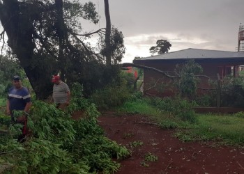 Temporal causó daños graves en las líneas eléctricas de Victoria