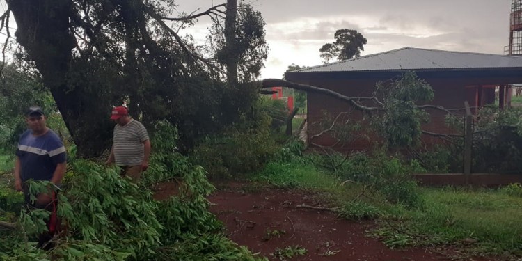Temporal causó daños graves en las líneas eléctricas de Victoria
