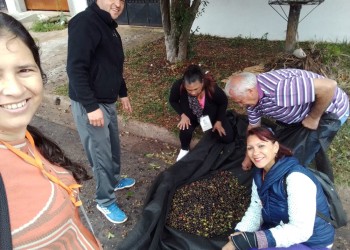 Cada vez más vecinos se suman a la cosecha de frutos en Posadas