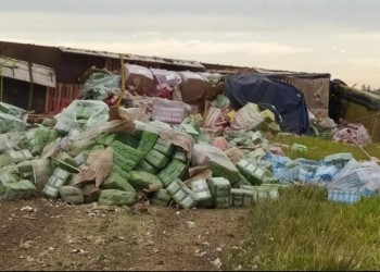 Camión que partió de Misiones chocó y volcó en Corrientes: 2 muertos