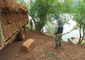 Contrabando: incautan más de 4 toneladas de tabaco en El Soberbio
