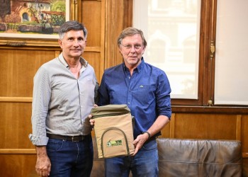 Balance y proyeccción  de la yerba mate