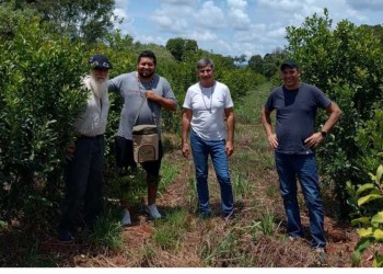 Analizaron en Perutí la producción yerbatera de la comunidad guaraní