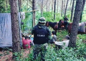 Vida Silvestre impulsa una campaña para desalentar la caza furtiva en Misiones